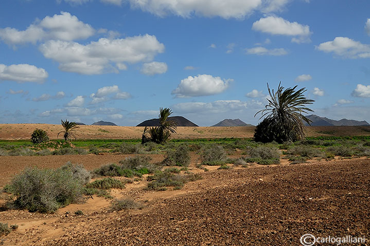 Fuerteventura