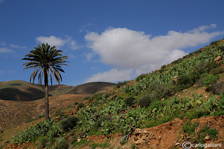 Fuerteventura