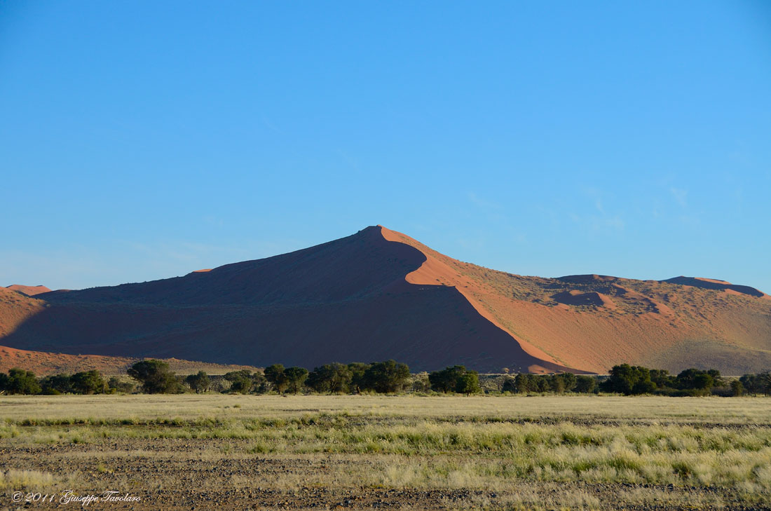 Deserto del Namib (Namibia)