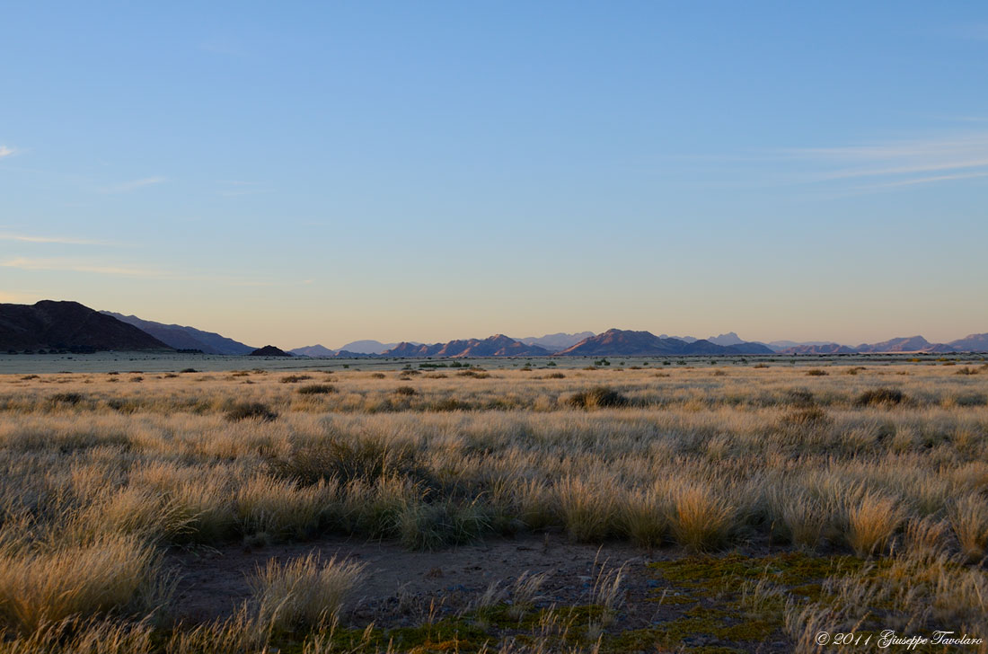 Deserto del Namib (Namibia)