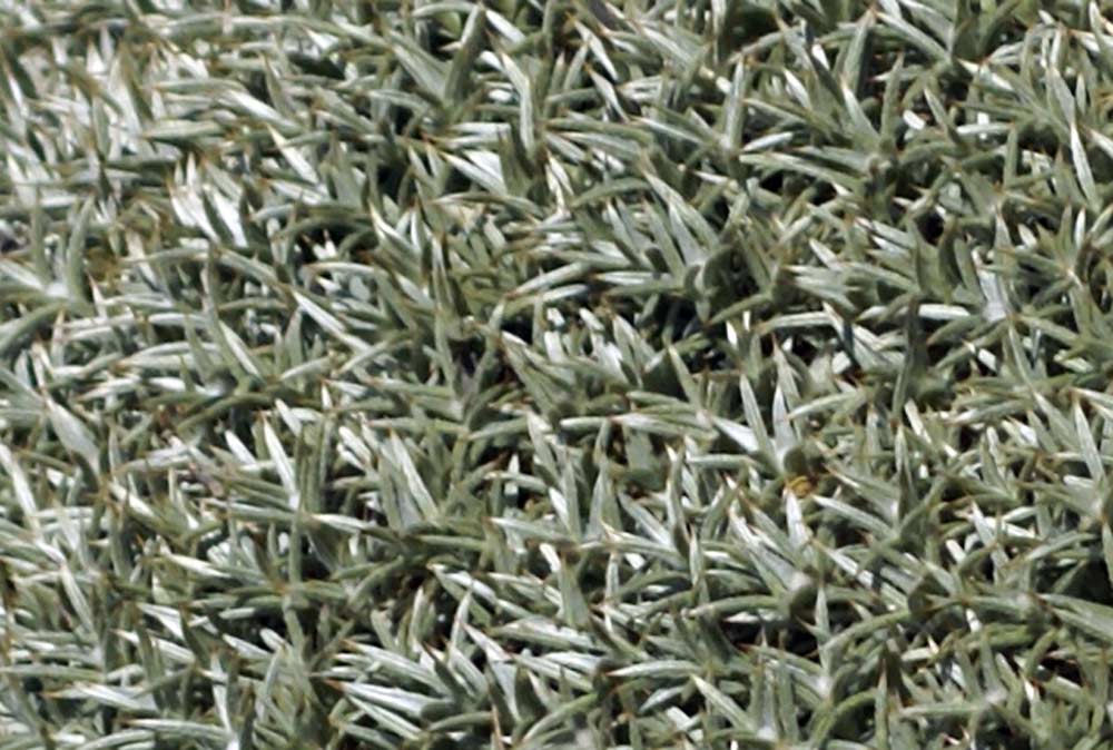 Santa Cruz - Patagonia