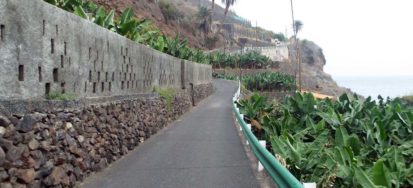Da Tenerife e La Gomera (Canarie): Banani