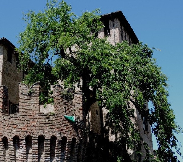 Richiesta identificazione