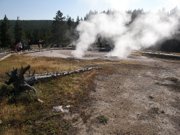 Parco di Yellowstone: Geysers, fumarole, sorgenti calde,....