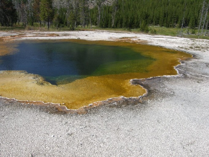 Parco di Yellowstone: Geysers, fumarole, sorgenti calde,....