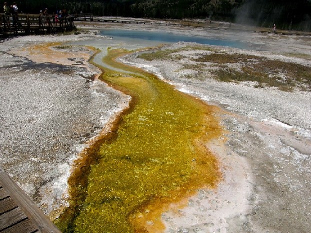 Parco di Yellowstone: Geysers, fumarole, sorgenti calde,....