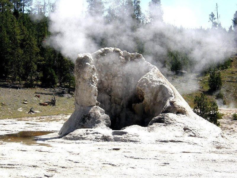 Parco di Yellowstone: Geysers, fumarole, sorgenti calde,....