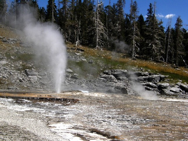 Parco di Yellowstone: Geysers, fumarole, sorgenti calde,....