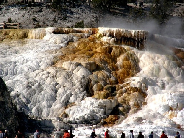 Parco di Yellowstone: Mammoth Hot Springs