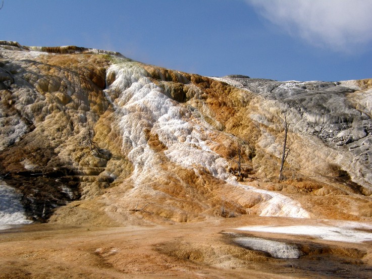 Parco di Yellowstone: Mammoth Hot Springs