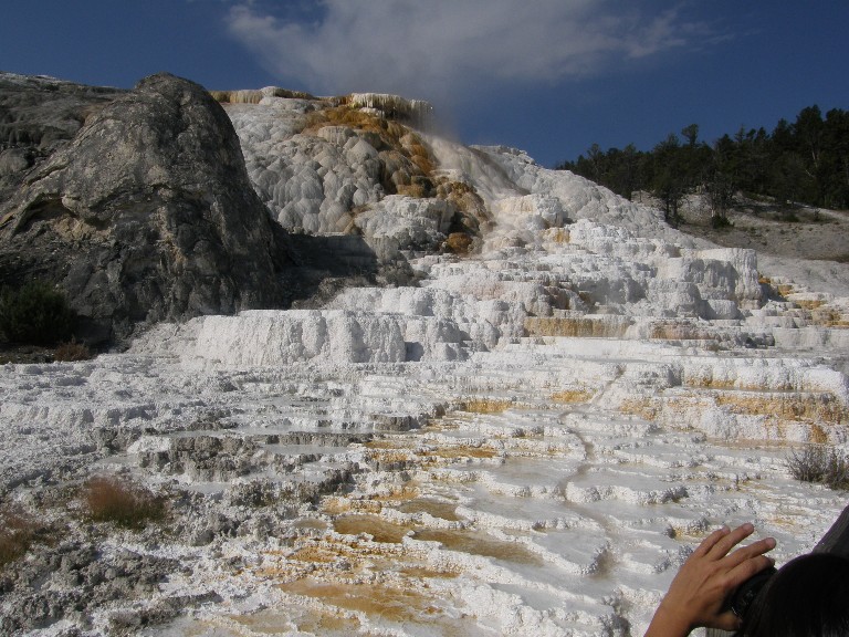 Parco di Yellowstone: Mammoth Hot Springs