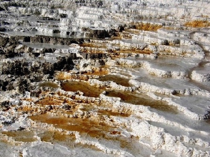 Parco di Yellowstone: Mammoth Hot Springs