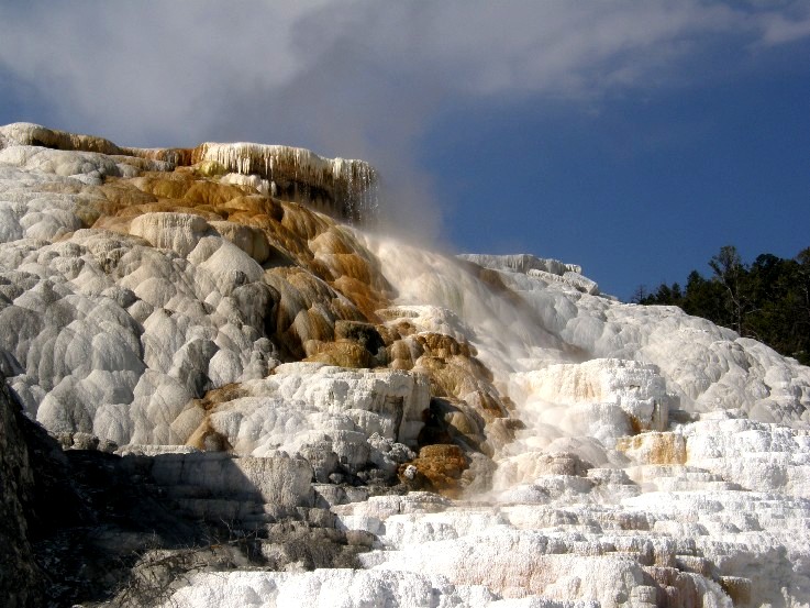 Parco di Yellowstone: Mammoth Hot Springs