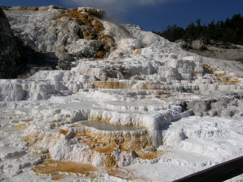 Parco di Yellowstone: Mammoth Hot Springs