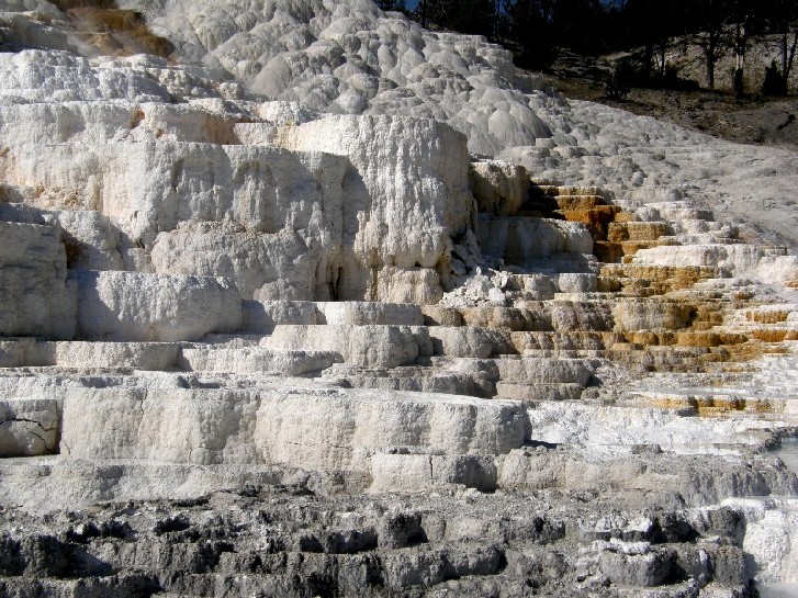 Parco di Yellowstone: Mammoth Hot Springs