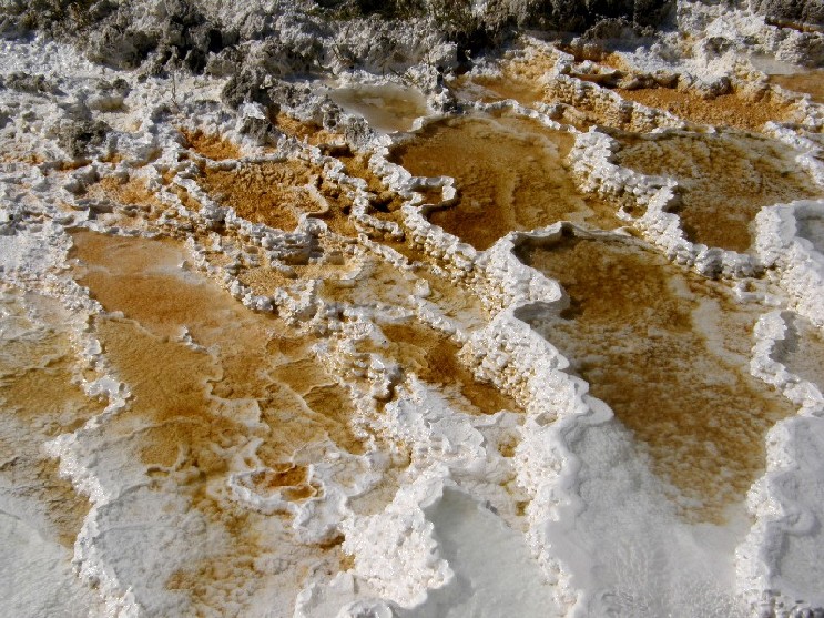 Parco di Yellowstone: Mammoth Hot Springs