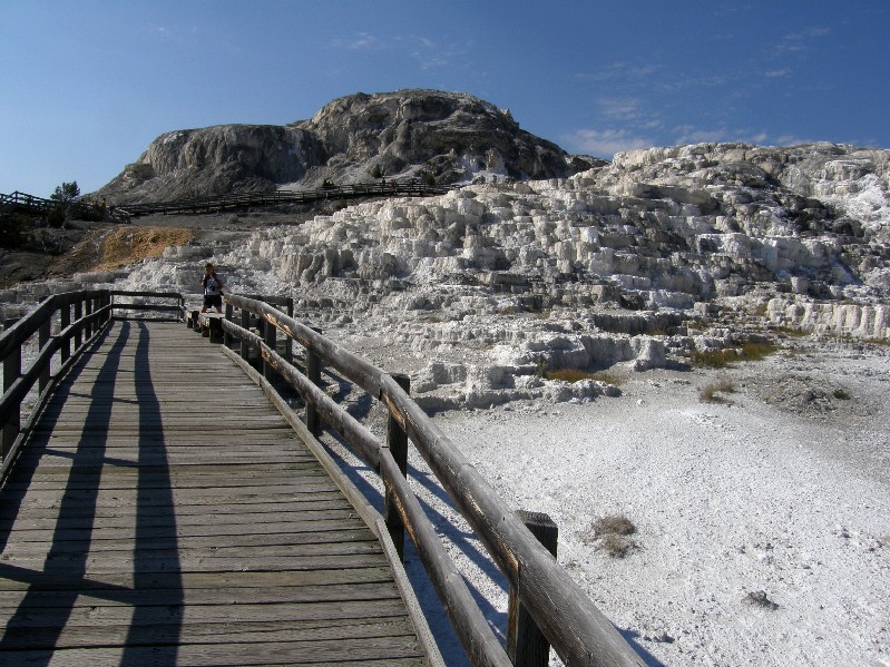 Parco di Yellowstone: Mammoth Hot Springs