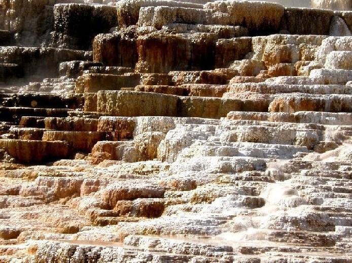 Parco di Yellowstone: Mammoth Hot Springs