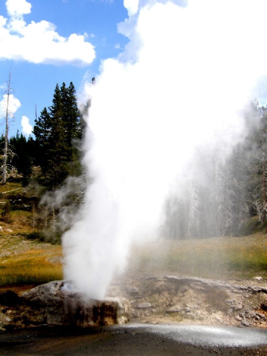 Parco di Yellowstone: Geysers, fumarole, sorgenti calde,....