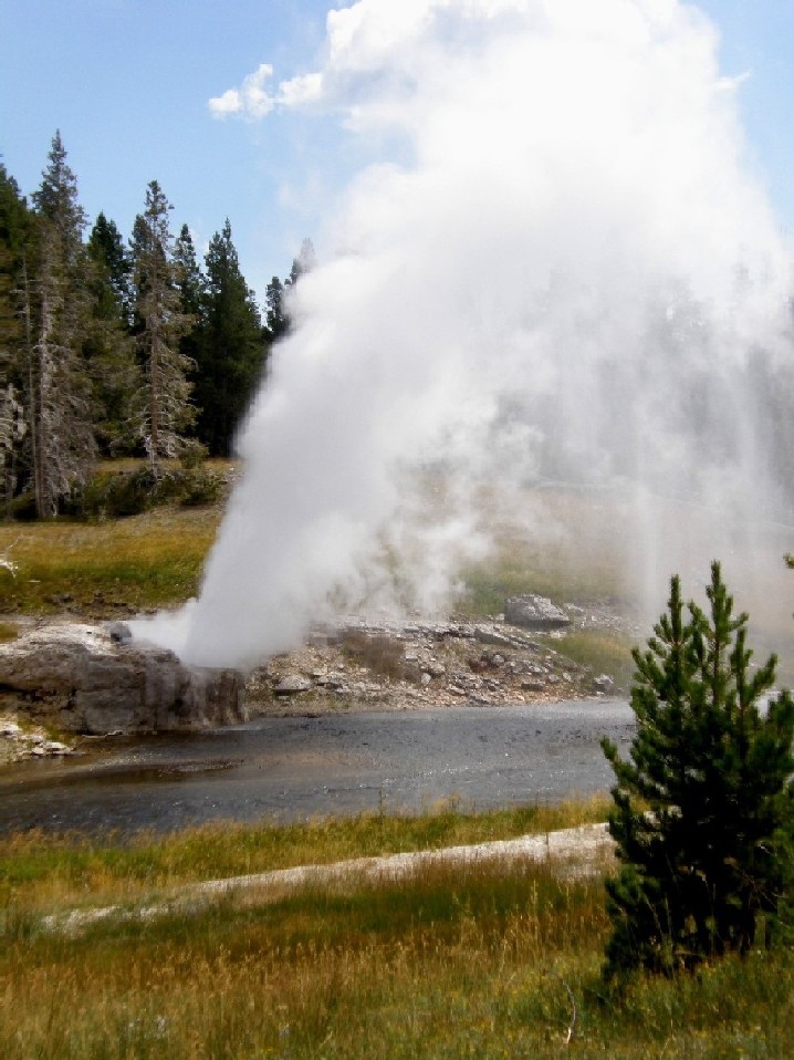 Parco di Yellowstone: Geysers, fumarole, sorgenti calde,....