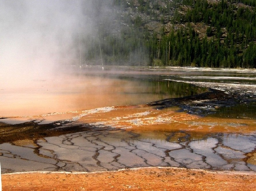 Parco di Yellowstone: Geysers, fumarole, sorgenti calde,....