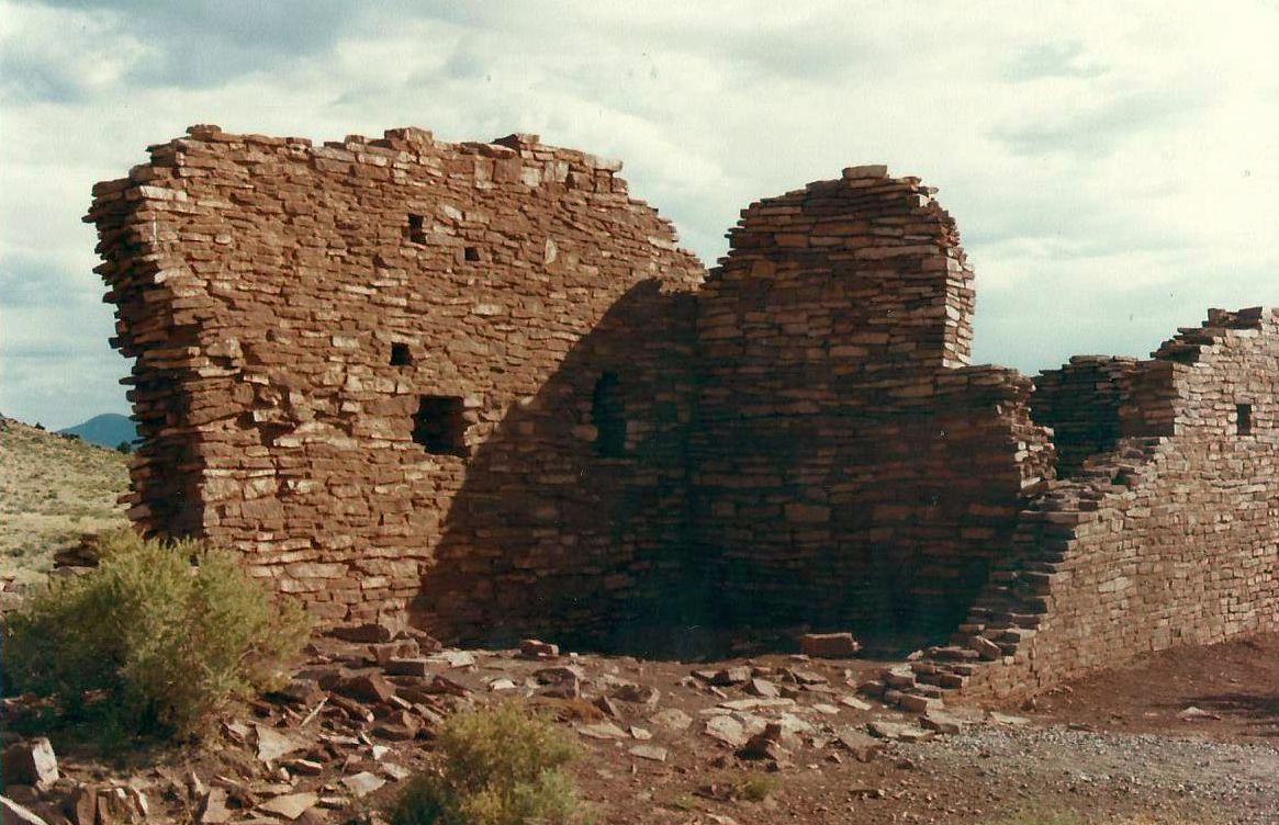 Flagstaff (Arizona): lucertola tra rovine archeologiche