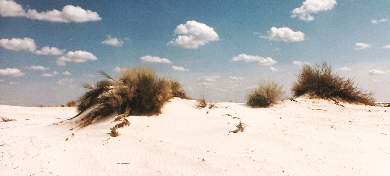 Dal New Mexico:  tra le dune di gesso delle White Sands