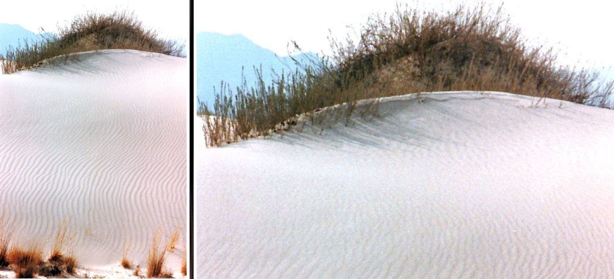 Dal New Mexico:  tra le dune di gesso delle White Sands