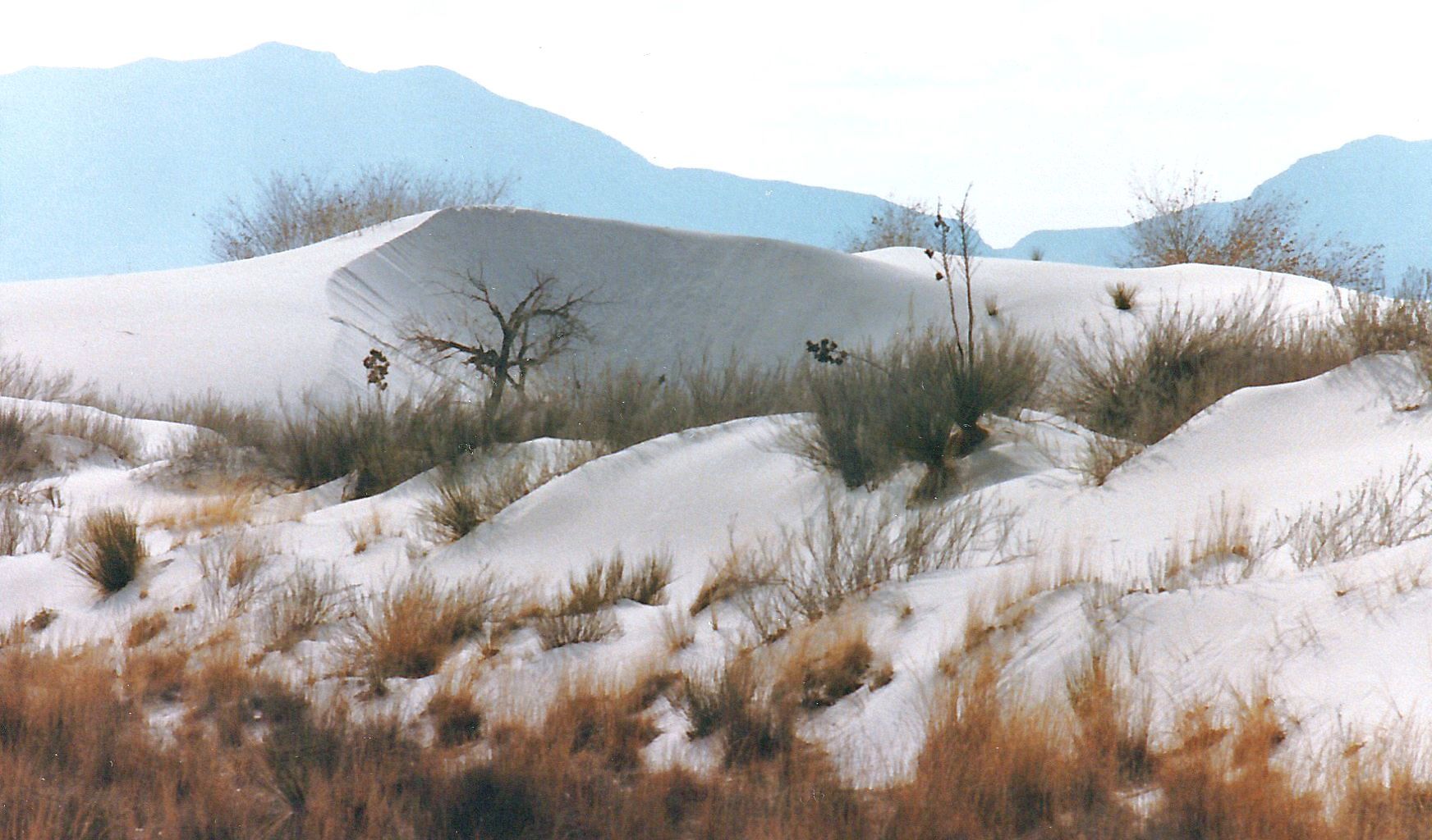 Dal New Mexico:  tra le dune di gesso delle White Sands