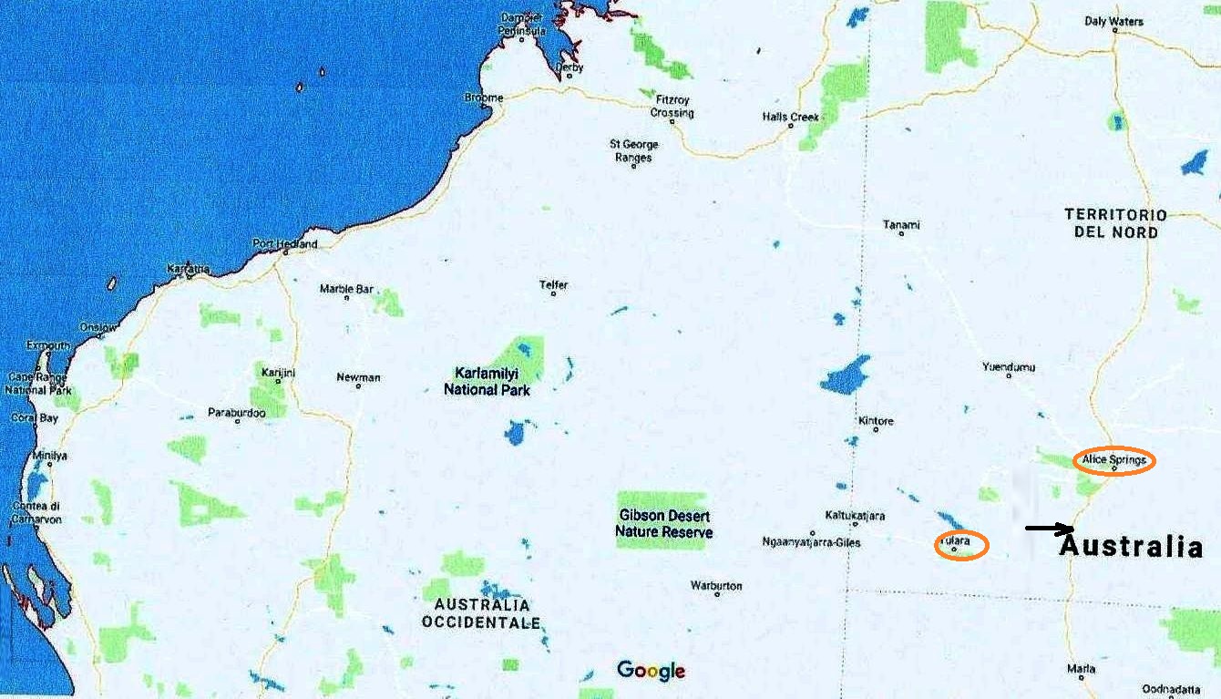 Il pasto dell''Aquila audax (Australia - Territori del Nord)